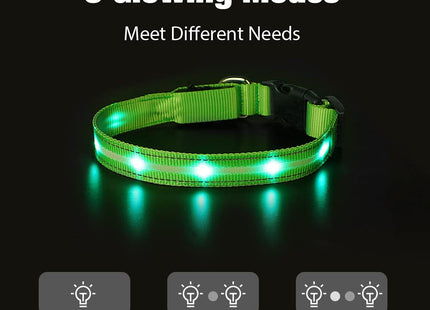 LED Dog Collar - Battery Included - Available in 5 Colours & 4 Sizes - Makes Your Dog Visible, Safe & Seen - Light Up Dog Collar - HOMEVIBE (Extra Large, Red)