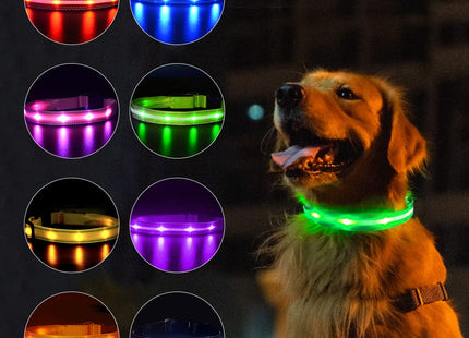 LED Dog Collar - Battery Included - Available in 5 Colours & 4 Sizes - Makes Your Dog Visible, Safe & Seen - Light Up Dog Collar - HOMEVIBE (Extra Large, Red)
